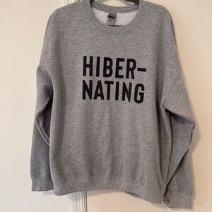 Gray Hibernating Sweater